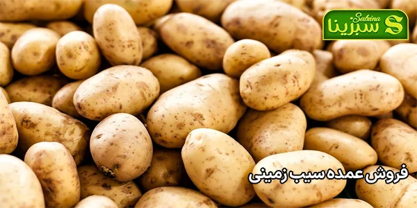 فروش عمده سیب زمینی فروش عمده سیب زمینی