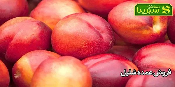 فروش عمده شلیل فروش عمده شلیل