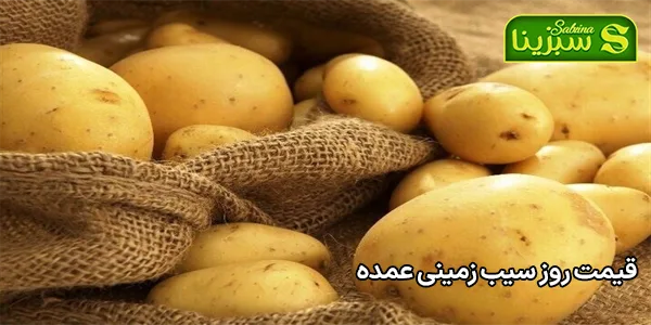 قیمت روز سیب زمینی عمده قیمت روز سیب زمینی عمده