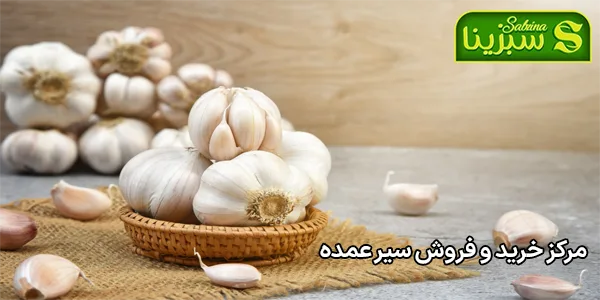مرکز خرید و فروش سیر عمده مرکز خرید و فروش سیر عمده