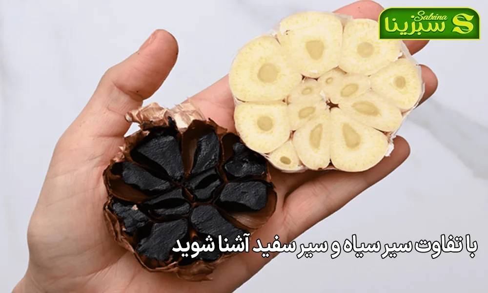 با تفاوت سیر سیاه و سیر سفید آشنا شوید