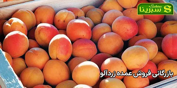 بازرگانی فروش عمده زردآلو بازرگانی فروش عمده زردآلو