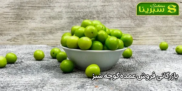 بازرگانی فروش عمده گوجه سبز بازرگانی فروش عمده گوجه سبز