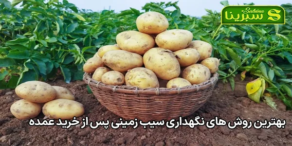 بهترین روش های نگهداری سیب زمینی پس از خرید عمده بهترین روش های نگهداری سیب زمینی پس از خرید عمده