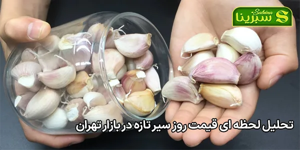 تحلیل لحظه ای قیمت روز سیر تازه در بازار تهران تحلیل لحظه ای قیمت روز سیر تازه در بازار تهران