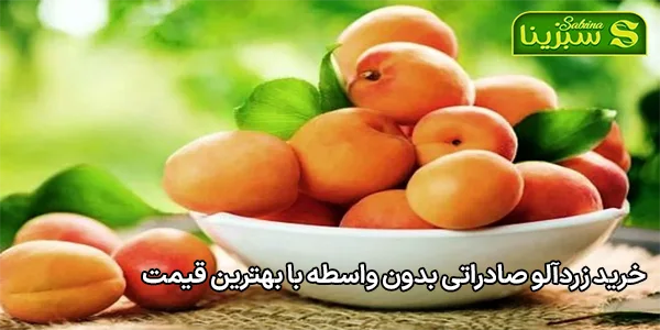 خرید زردآلو صادراتی بدون واسطه با بهترین قیمت خرید زردآلو صادراتی بدون واسطه با بهترین قیمت