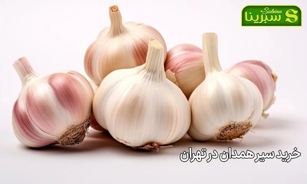 خرید سیر همدان در تهران