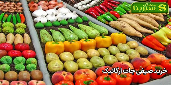 خرید صیفی جات ارگانیک خرید صیفی جات ارگانیک