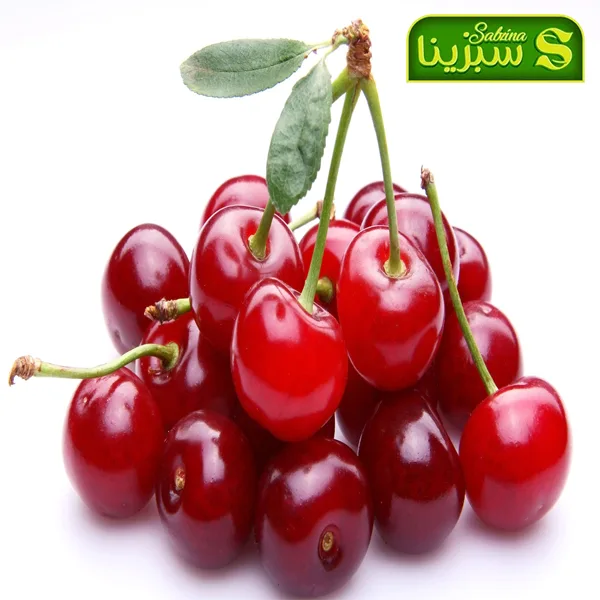 خرید عمده آلبالو 3