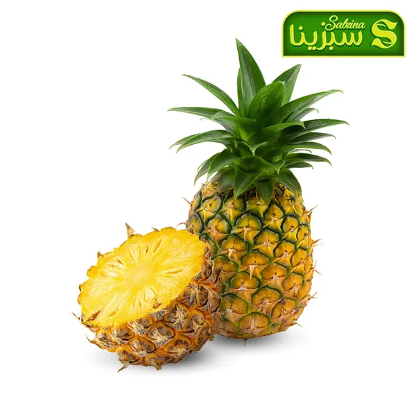 خرید عمده آناناس 1