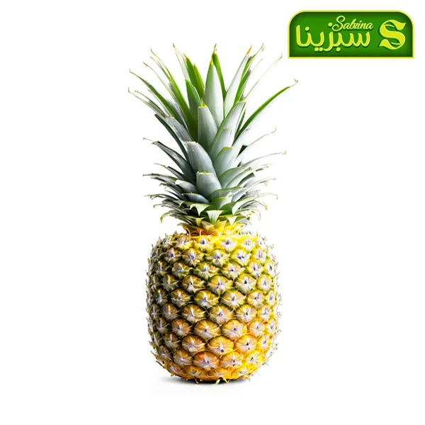 خرید عمده آناناس