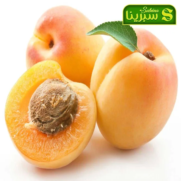 خرید عمده زردآلو تصویر 3