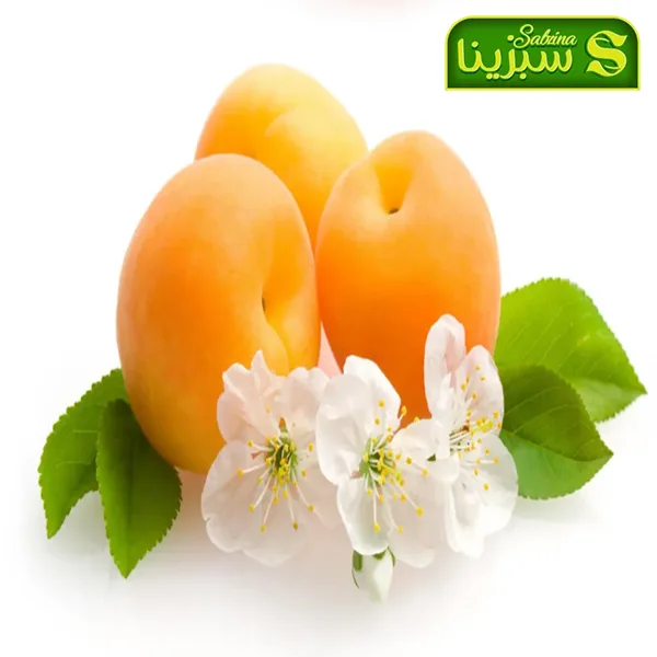 خرید عمده زردآلو تصویر 4