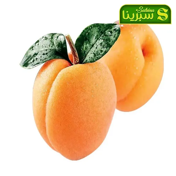 خرید عمده زردآلو 3