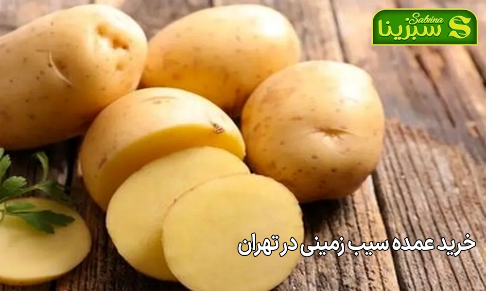 خرید عمده سیب زمینی در تهران