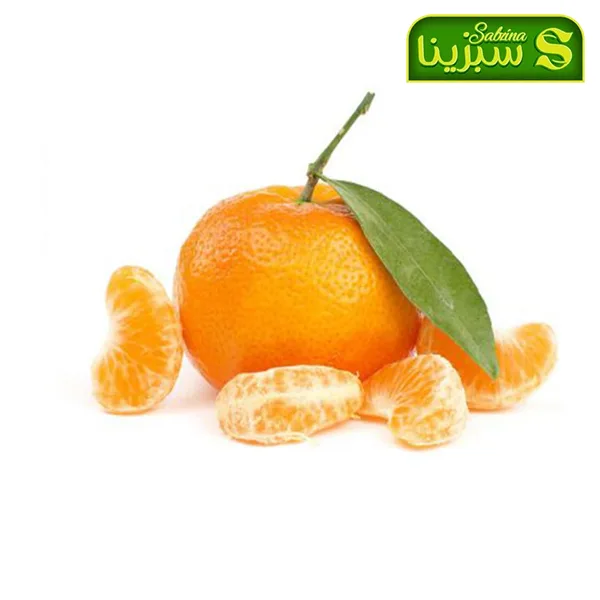 خرید عمده نارنگی