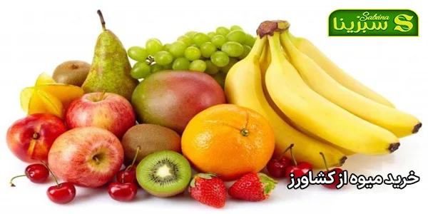 خرید میوه از کشاورز خرید میوه از کشاورز