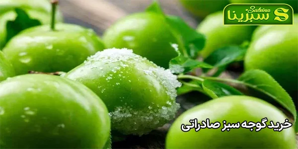 خرید گوجه سبز صادراتی خرید گوجه سبز صادراتی