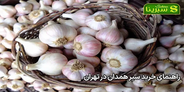 راهنمای خرید سیر همدان در تهران راهنمای خرید سیر همدان در تهران
