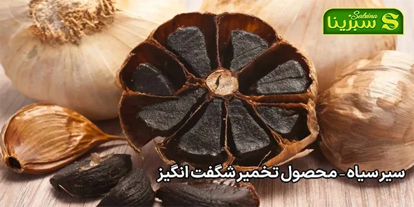 سیر سیاه – محصول تخمیر شگفت انگیز سیر سیاه – محصول تخمیر شگفت انگیز