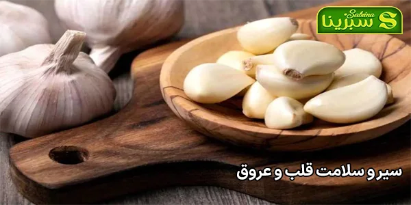 سیر و سلامت قلب و عروق سیر و سلامت قلب و عروق