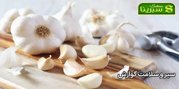 سیر و سلامت گوارش