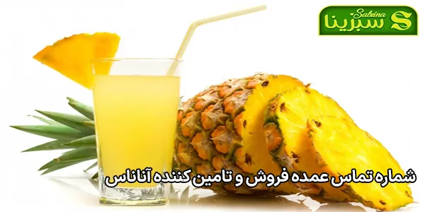 شماره تماس عمده فروش و تامین کننده آناناس شماره تماس عمده فروش و تامین کننده آناناس