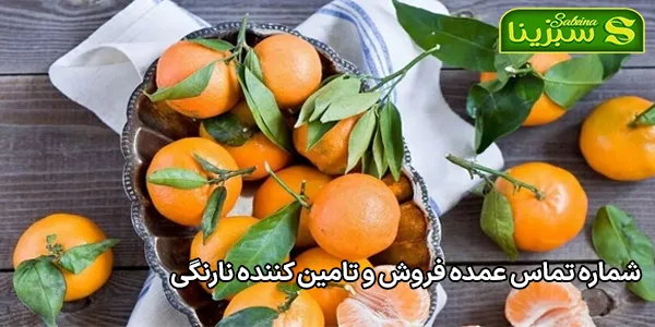 شماره تماس عمده فروش و تامین کننده نارنگی شماره تماس عمده فروش و تامین کننده نارنگی
