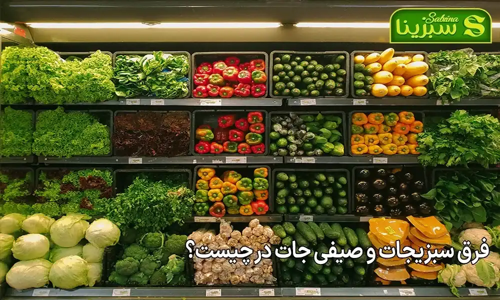 فرق سبزیجات و صیفی جات در چیست؟