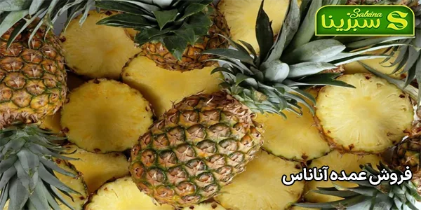 فروش عمده آناناس فروش عمده آناناس