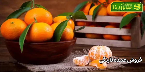 فروش عمده نارنگی فروش عمده نارنگی