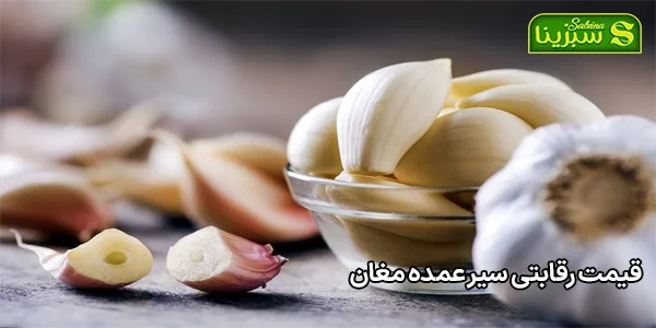 قیمت رقابتی سیر عمده مغان قیمت رقابتی سیر عمده مغان