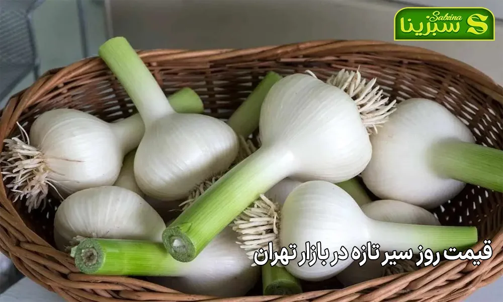 قیمت روز سیر تازه در بازار تهران