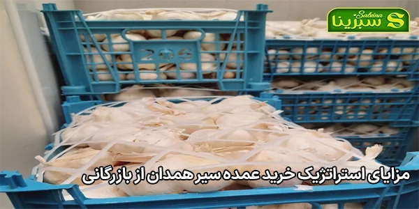 مزایای استراتژیک خرید عمده سیر همدان از بازرگانی مزایای استراتژیک خرید عمده سیر همدان از بازرگانی