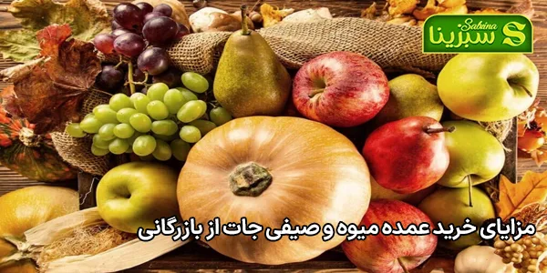 مزایای خرید عمده میوه و صیفی جات از بازرگانی مزایای خرید عمده میوه و صیفی جات از بازرگانی