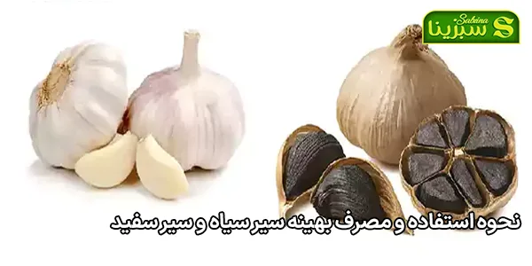 نحوه استفاده و مصرف بهینه سیر سیاه و سیر سفید نحوه استفاده و مصرف بهینه سیر سیاه و سیر سفید