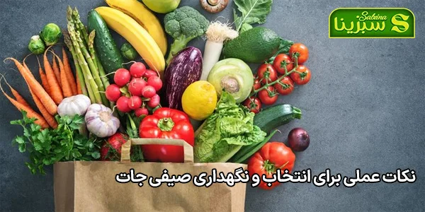 نکات عملی برای انتخاب و نگهداری صیفی جات نکات عملی برای انتخاب و نگهداری صیفی جات