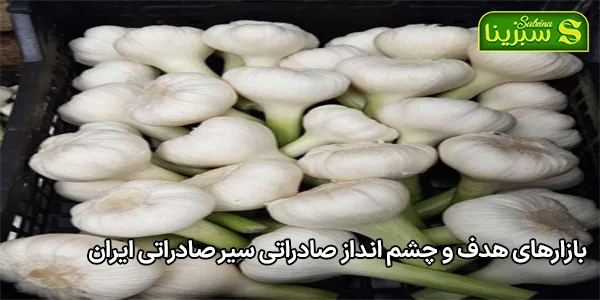 بازارهای هدف و چشم انداز صادراتی سیر صادراتی ایران بازارهای هدف و چشم انداز صادراتی سیر صادراتی ایران