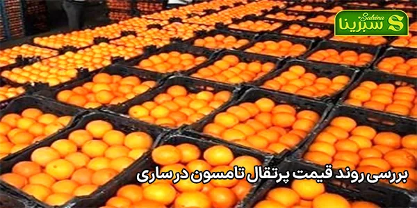 بررسی روند قیمت پرتقال تامسون در ساری بررسی روند قیمت پرتقال تامسون در ساری