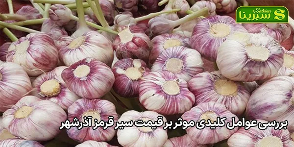 بررسی عوامل کلیدی موثر بر قیمت سیر قرمز آذرشهر بررسی عوامل کلیدی موثر بر قیمت سیر قرمز آذرشهر