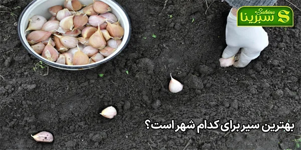 بهترین سیر برای کدام شهر است؟ بهترین سیر برای کدام شهر است؟