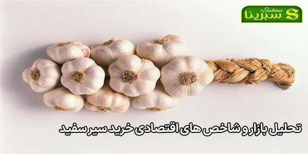 تحلیل بازار و شاخص های اقتصادی خرید سیر سفید تحلیل بازار و شاخص های اقتصادی خرید سیر سفید