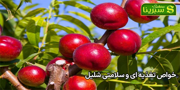 خواص تغذیه ای و سلامتی شلیل خواص تغذیه ای و سلامتی شلیل