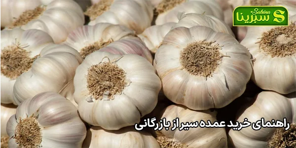 راهنمای خرید عمده سیر از بازرگانی راهنمای خرید عمده سیر از بازرگانی