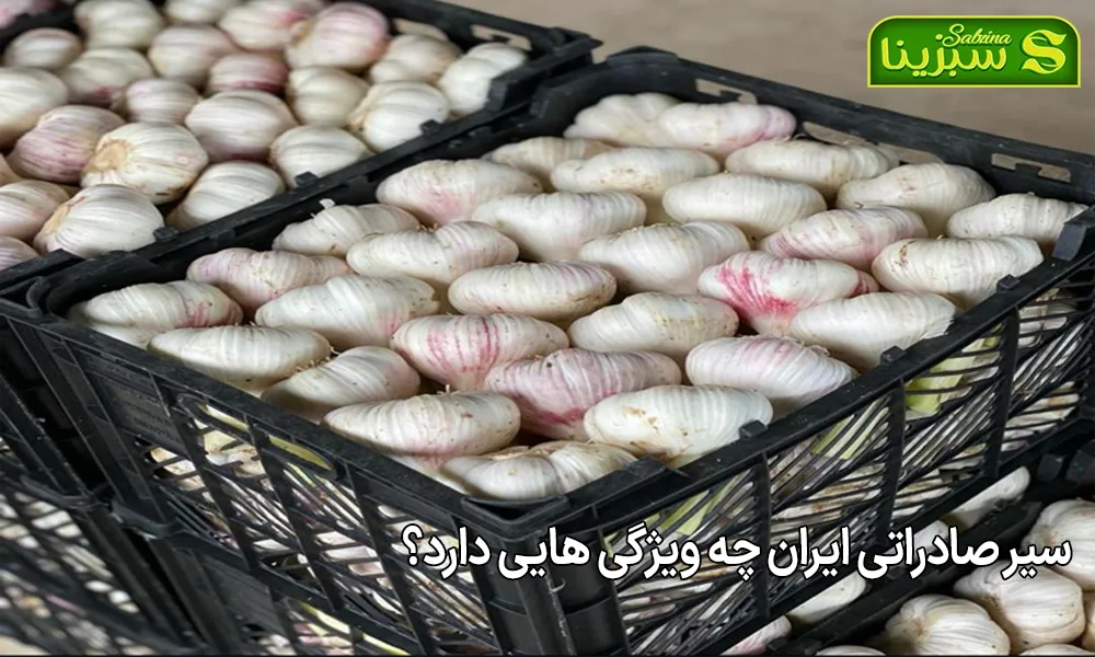 سیر صادراتی ایران چه ویژگی هایی دارد؟