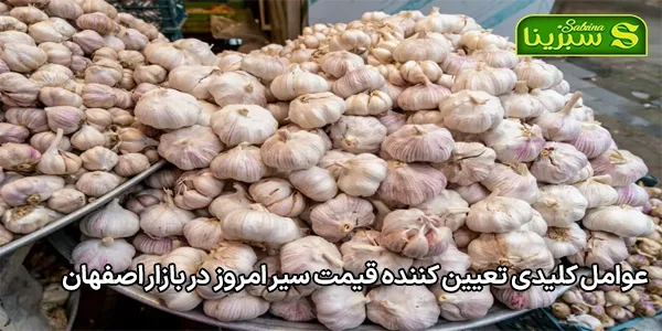 عوامل کلیدی تعیین کننده قیمت سیر امروز در بازار اصفهان عوامل کلیدی تعیین کننده قیمت سیر امروز در بازار اصفهان
