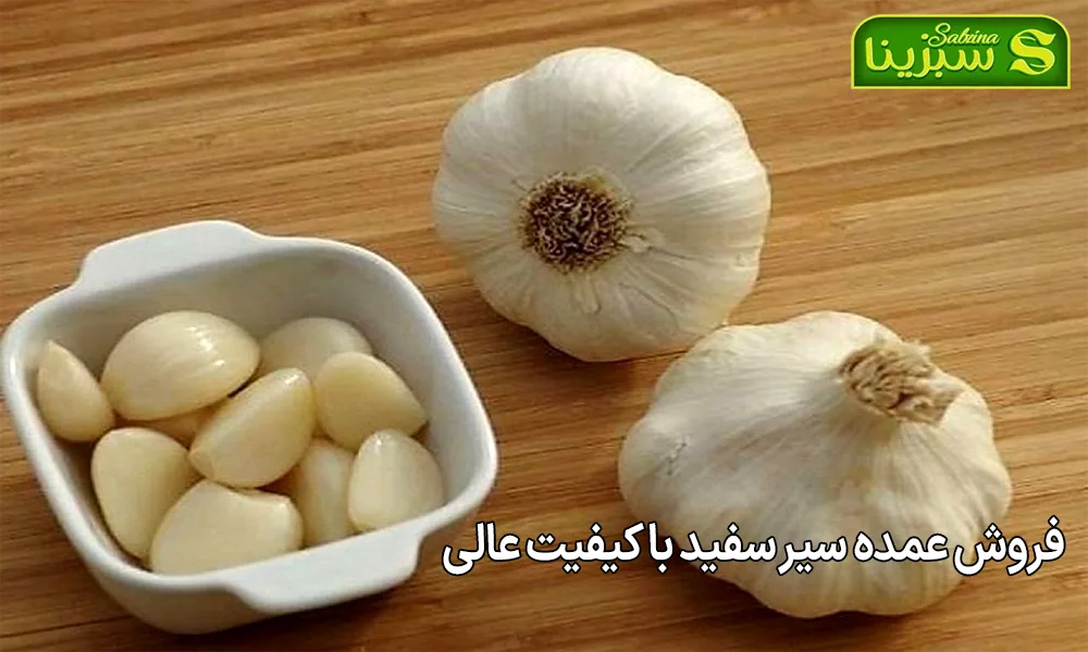 فروش عمده سیر سفید با کیفیت عالی