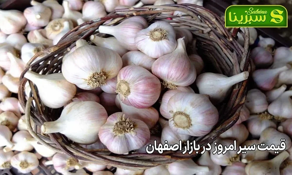 قیمت سیر امروز در بازار اصفهان