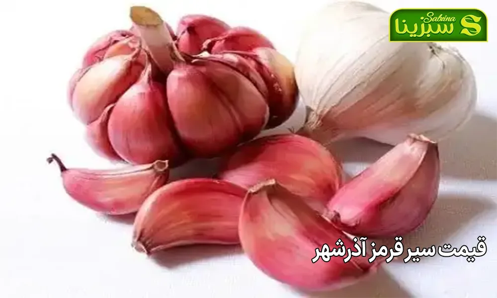 قیمت سیر قرمز آذرشهر