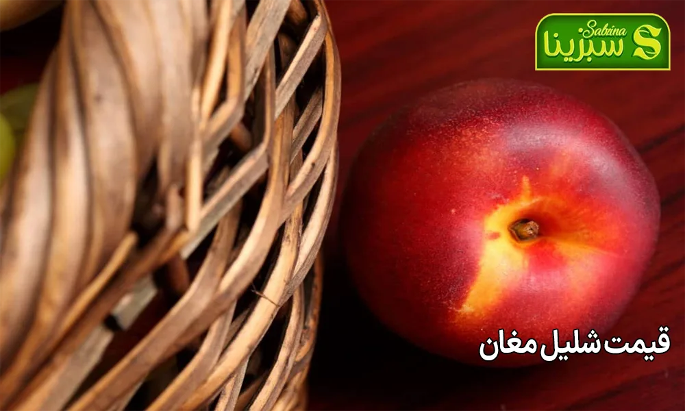 قیمت شلیل مغان